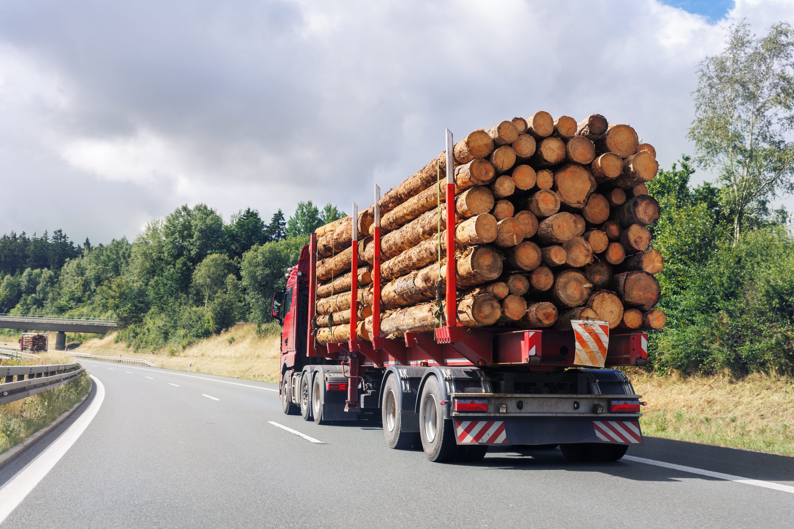 Back,View,Many,Long,Heavy,Industrial,Wood,Carrier,Cargo,Vessel